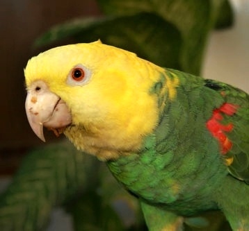 Foto 7